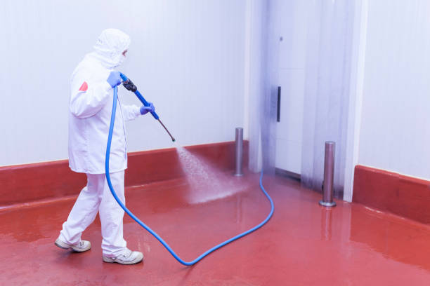 Pre-Holiday Cleaning in Portageville, MO