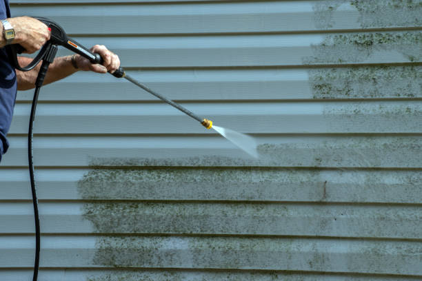 Best Sidewalk and Walkway Cleaning  in Portageville, MO