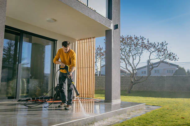 Best Gutter Cleaning  in Portageville, MO